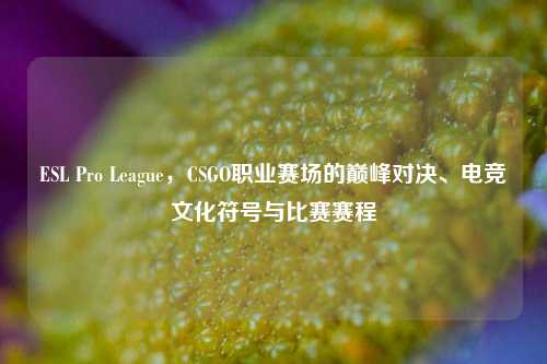 ESL Pro League，CSGO职业赛场的巅峰对决、电竞文化符号与比赛赛程