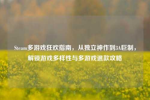 Steam多游戏狂欢指南,从独立神作到3A巨制,解锁游戏多样性与多游戏退款攻略