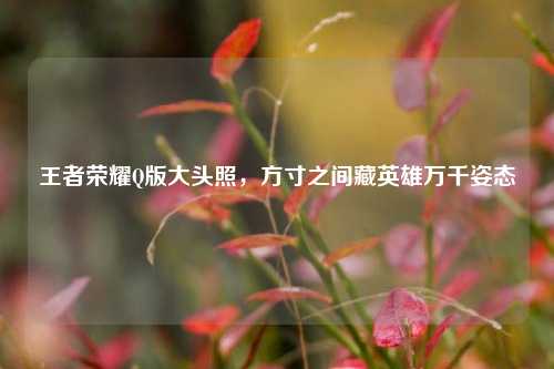 王者荣耀Q版大头照，方寸之间藏英雄万千姿态