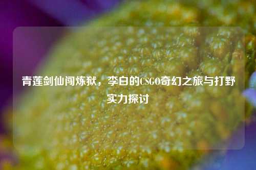 青莲剑仙闯炼狱，李白的CSGO奇幻之旅与打野实力探讨