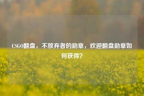 CSGO翻盘，不放弃者的勋章，欢迎翻盘勋章如何获得？