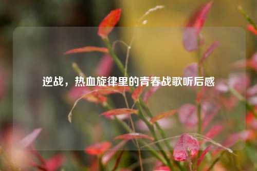 逆战，热血旋律里的青春战歌听后感
