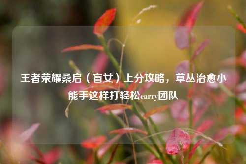 王者荣耀桑启（盲女）上分攻略，草丛治愈小能手这样打轻松carry团队