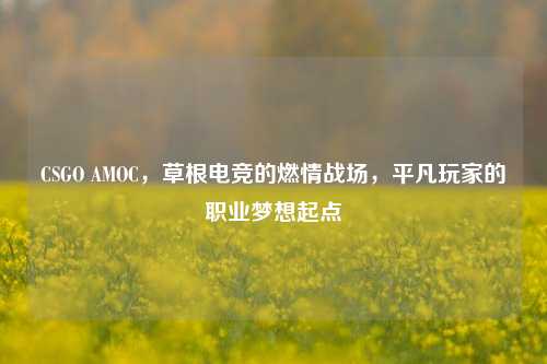 CSGO AMOC，草根电竞的燃情战场，平凡玩家的职业梦想起点