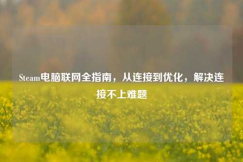 Steam电脑联网全指南，从连接到优化，解决连接不上难题