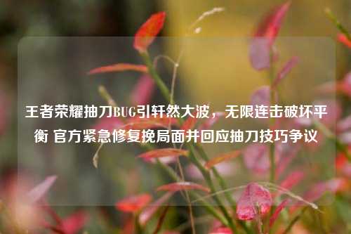 王者荣耀抽刀BUG引轩然大波，无限连击破坏平衡 官方紧急修复挽局面并回应抽刀技巧争议