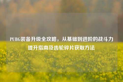 PUBG装备升级全攻略，从基础到进阶的战斗力提升指南及齿轮碎片获取方法
