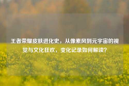 王者荣耀皮肤进化史，从像素风到元宇宙的视觉与文化狂欢，变化记录如何解读？