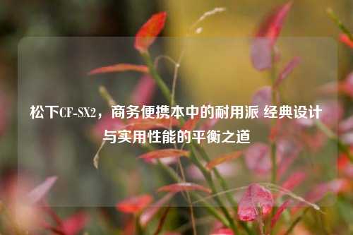 松下CF-SX2，商务便携本中的耐用派 经典设计与实用性能的平衡之道