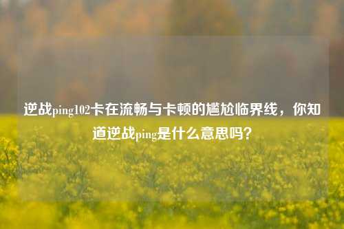 逆战ping102卡在流畅与卡顿的尴尬临界线，你知道逆战ping是什么意思吗？