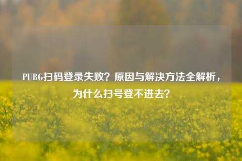 PUBG扫码登录失败？原因与解决方法全解析，为什么扫号登不进去？