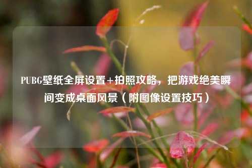 PUBG壁纸全屏设置+拍照攻略，把游戏绝美瞬间变成桌面风景（附图像设置技巧）