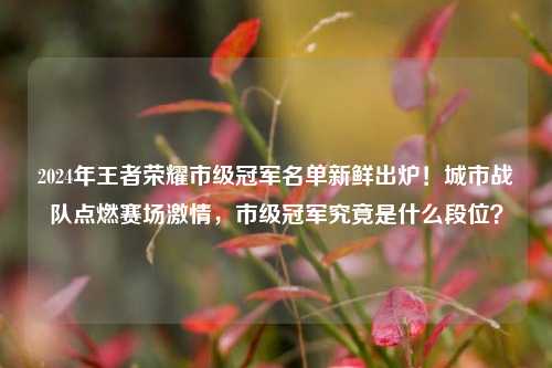 2024年王者荣耀市级冠军名单新鲜出炉！城市战队点燃赛场激情，市级冠军究竟是什么段位？