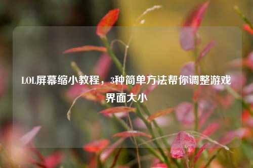 LOL屏幕缩小教程，3种简单方法帮你调整游戏界面大小