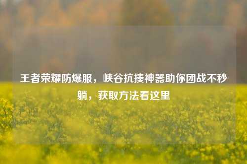 王者荣耀防爆服，峡谷抗揍神器助你团战不秒躺，获取方法看这里