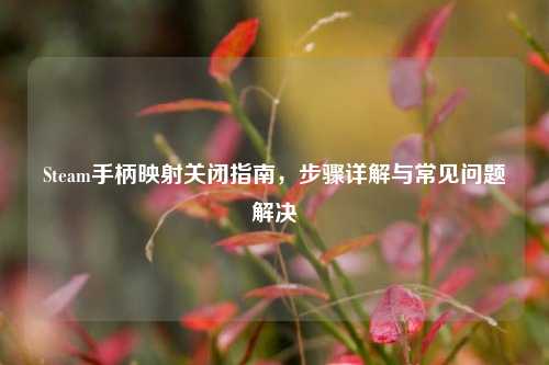 Steam手柄映射关闭指南，步骤详解与常见问题解决