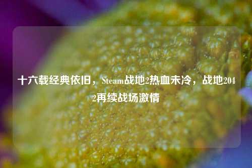 十六载经典依旧，Steam战地2热血未冷，战地2042再续战场激情