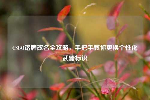 CSGO铭牌改名全攻略，手把手教你更换个性化武器标识