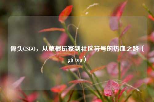 骨头CSGO，从草根玩家到社区符号的热血之路（gǔ tou）