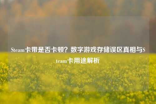 Steam卡带是否卡顿？数字游戏存储误区真相与Steam卡用途解析