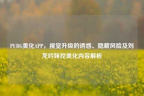 PUBG美化APP，视觉升级的诱惑、隐藏风险及刘龙吟妹控美化内容解析