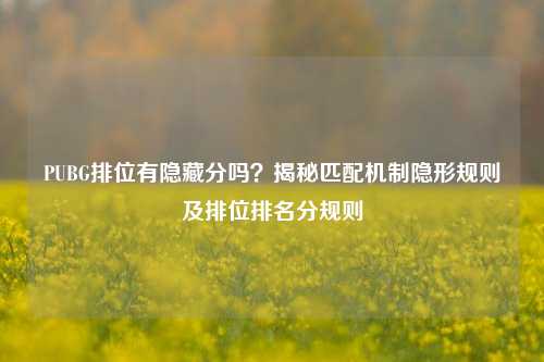 PUBG排位有隐藏分吗？揭秘匹配机制隐形规则及排位排名分规则