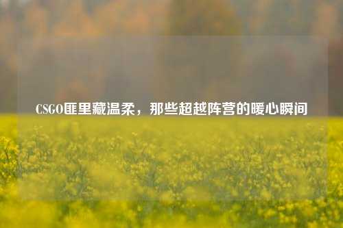 CSGO匪里藏温柔,那些超越阵营的暖心瞬间