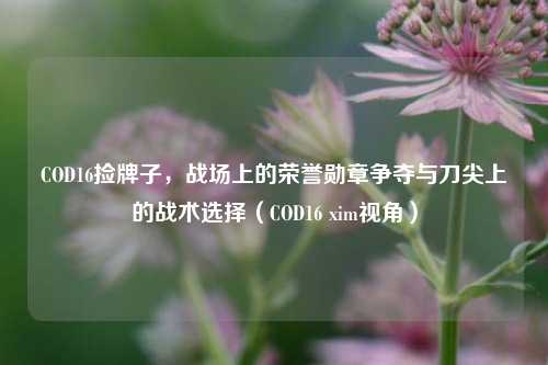 COD16捡牌子，战场上的荣誉勋章争夺与刀尖上的战术选择（COD16 xim视角）