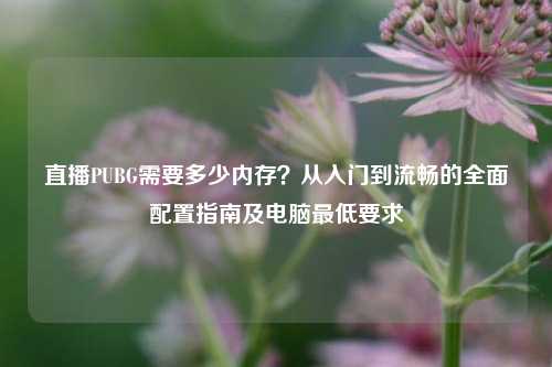 直播PUBG需要多少内存？从入门到流畅的全面配置指南及电脑最低要求