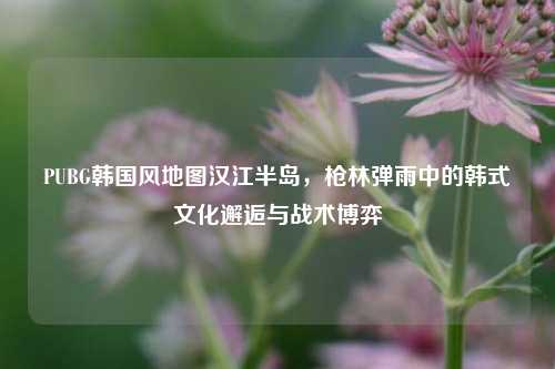 PUBG韩国风地图汉江半岛，枪林弹雨中的韩式文化邂逅与战术博弈