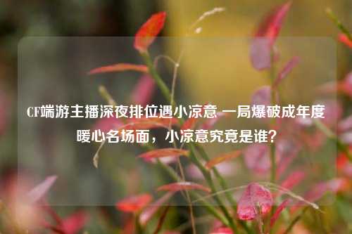 CF端游主播深夜排位遇小凉意 一局爆破成年度暖心名场面，小凉意究竟是谁？