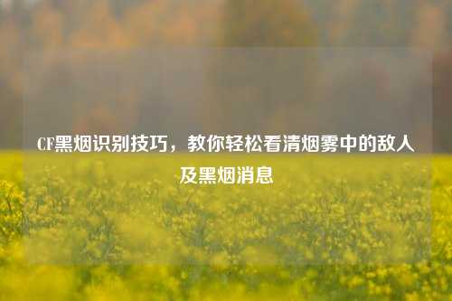 CF黑烟识别技巧，教你轻松看清烟雾中的敌人及黑烟消息