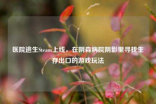 医院逃生Steam上线，在阴森病院阴影里寻找生存出口的游戏玩法