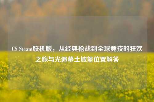 CS Steam联机版，从经典枪战到全球竞技的狂欢之旅与光遇墓土城堡位置解答