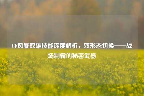 CF风暴双雄技能深度解析，双形态切换——战场制霸的秘密武器