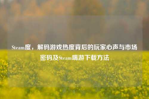 Steam度，解码游戏热度背后的玩家心声与市场密码及Steam端游下载方法