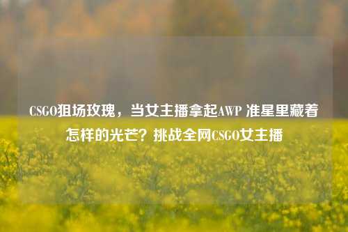 CSGO狙场玫瑰，当女主播拿起AWP 准星里藏着怎样的光芒？挑战全网CSGO女主播