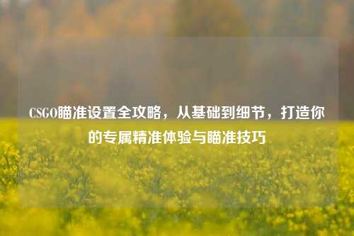 CSGO瞄准设置全攻略，从基础到细节，打造你的专属精准体验与瞄准技巧