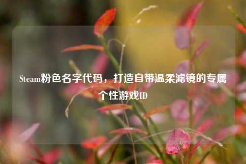 Steam粉色名字代码,打造自带温柔滤镜的专属个性游戏ID