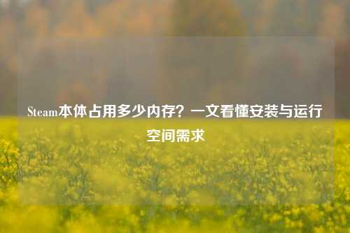 Steam本体占用多少内存？一文看懂安装与运行空间需求