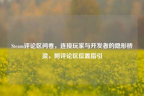 Steam评论区问卷，连接玩家与开发者的隐形桥梁，附评论区位置指引