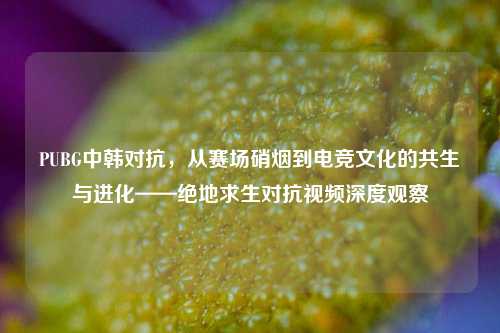PUBG中韩对抗，从赛场硝烟到电竞文化的共生与进化——绝地求生对抗视频深度观察