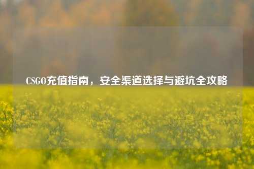 CSGO充值指南，安全渠道选择与避坑全攻略