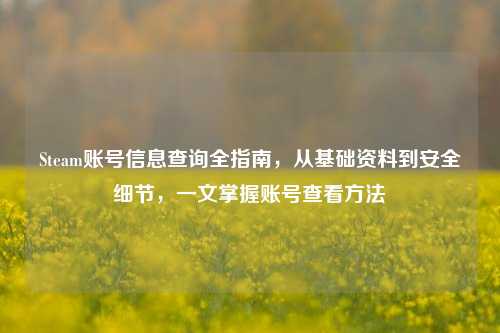 Steam账号信息查询全指南，从基础资料到安全细节，一文掌握账号查看方法