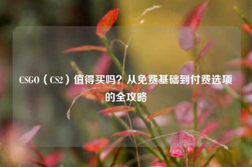 CSGO（CS2）值得买吗？从免费基础到付费选项的全攻略