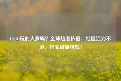 CSGO玩的人多吗？全球热潮依旧，社区活力不减，玩家数量可观！