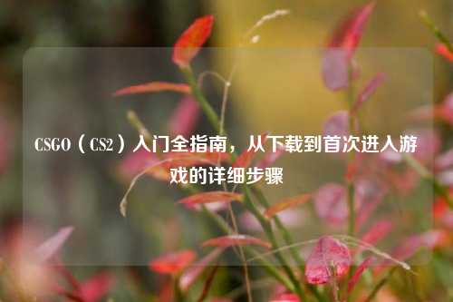 CSGO（CS2）入门全指南，从下载到首次进入游戏的详细步骤