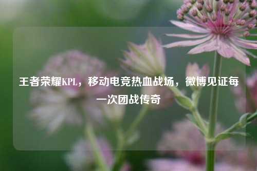 王者荣耀KPL，移动电竞热血战场，微博见证每一次团战传奇