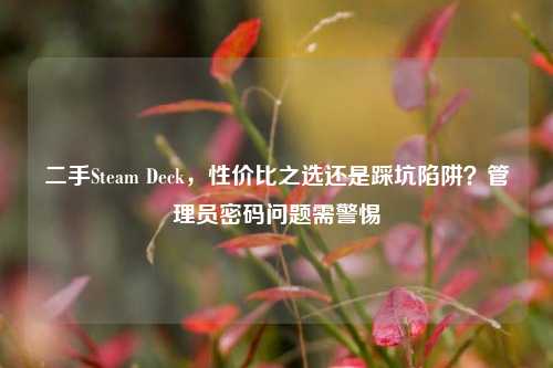 二手Steam Deck，性价比之选还是踩坑陷阱？管理员密码问题需警惕