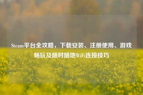 Steam平台全攻略，下载安装、注册使用、游戏畅玩及随时随地WiFi连接技巧